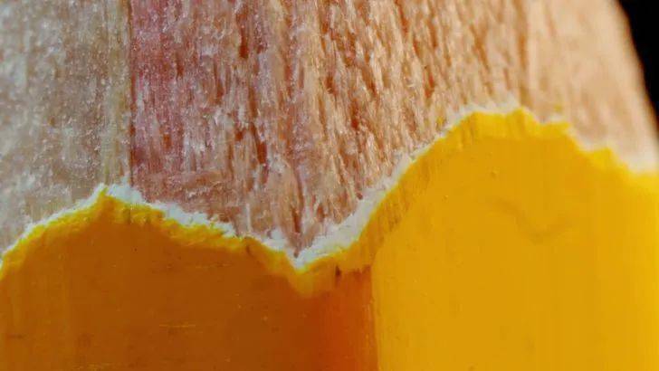 这些东西局部放大看看你能认出几个