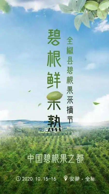 碧根果采摘节系列报道强化科技支撑02促进薄壳山核桃产业高质量发展