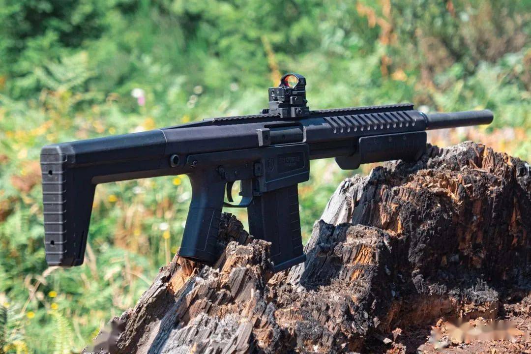 【又见黑水】sentry 12霰弹枪图集