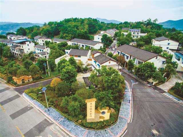 深秋的早晨,江北区五宝镇干坝村王家湾片区在一片鸟语花香中苏醒.