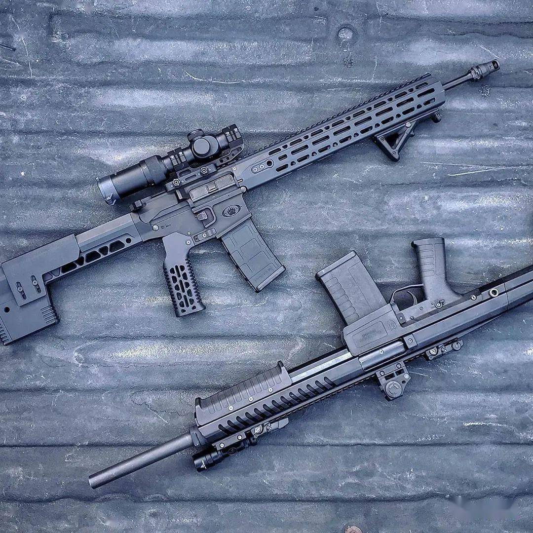 【又见黑水】sentry 12霰弹枪图集