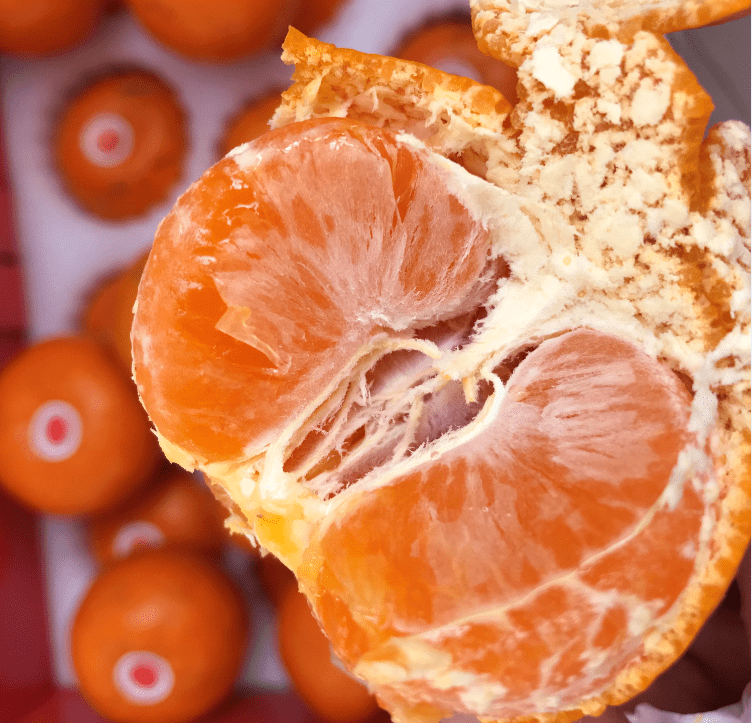 一"橘"成名的机会来了!参与这个活动让你三年有吃不完的蜜橘