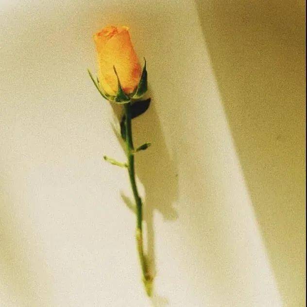 朋友圈背景丨好看的微信封面图