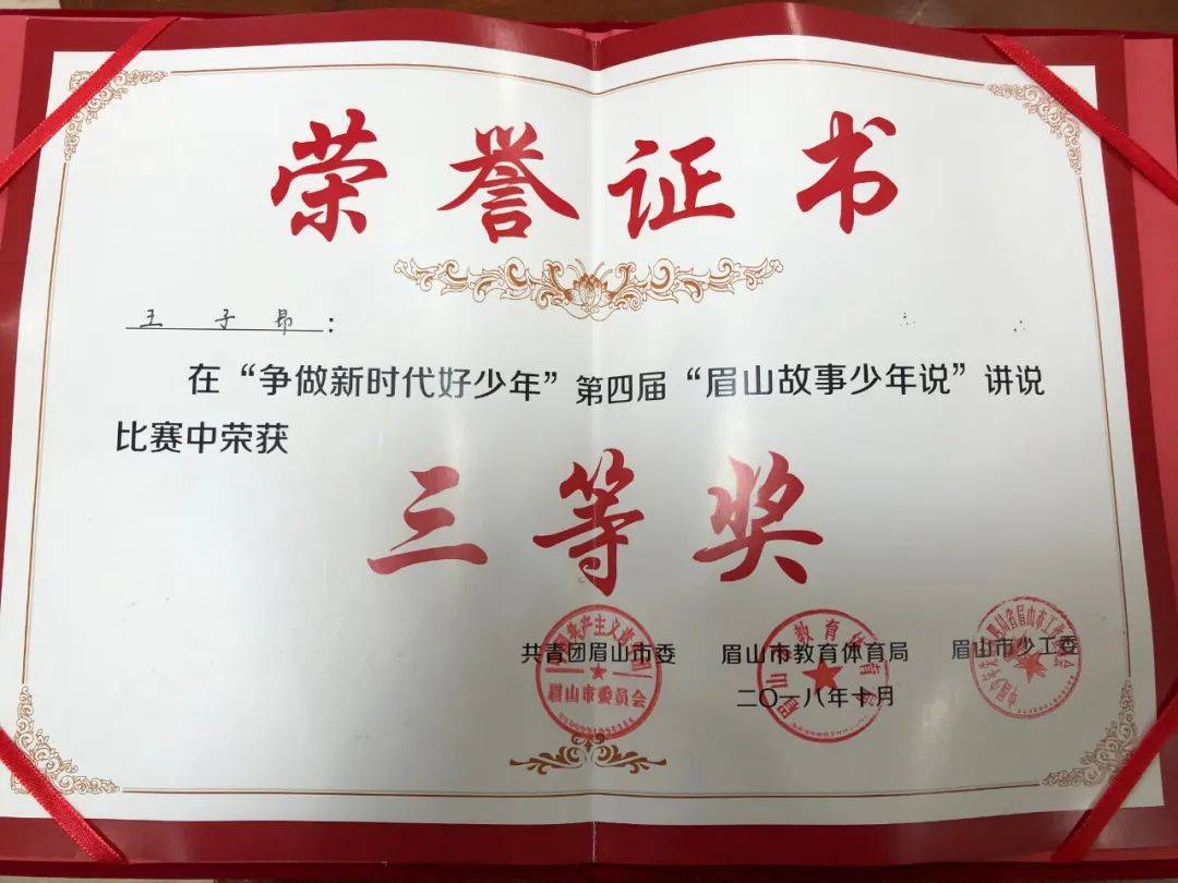 新时代好队员——王子昂_丹棱县