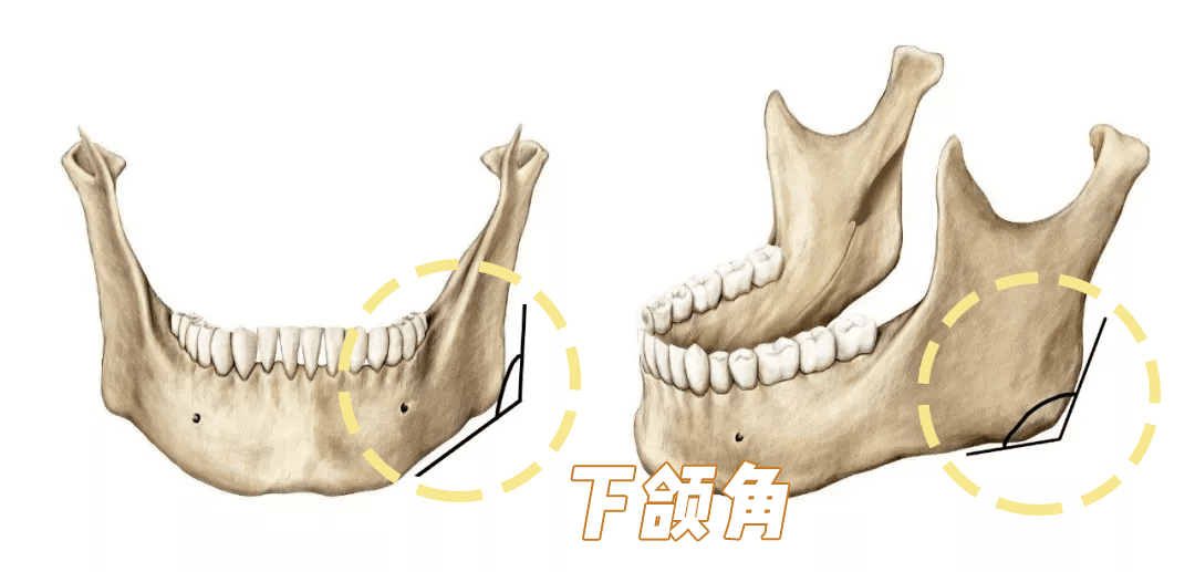 話說最近卡卡經常聽到一個詞,叫發腮95