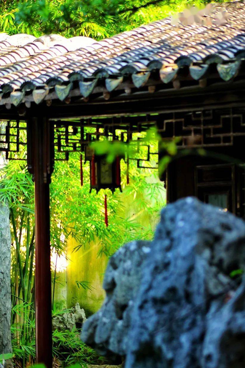 苏州园林61初秋的留园品鉴中国人的造梦艺术