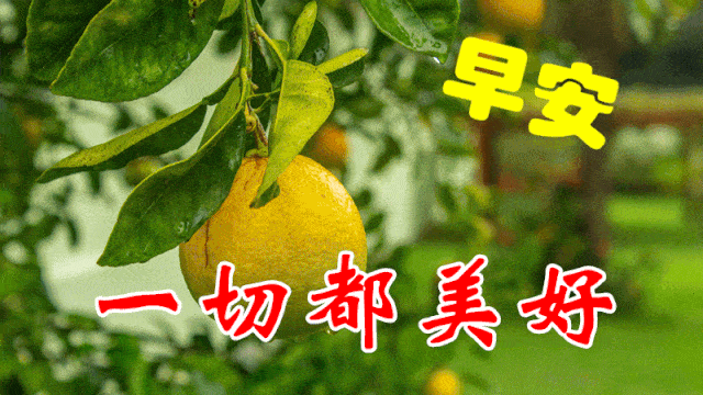 早上好问候美图,早安问候语句.