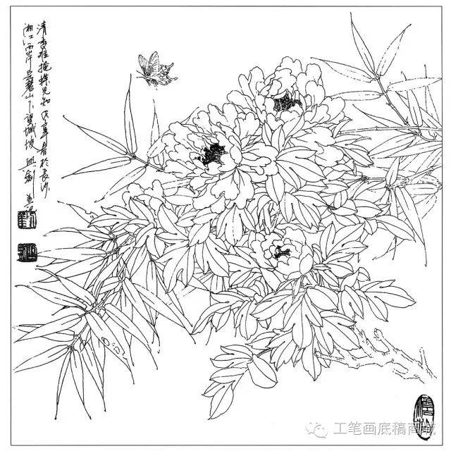 30種花卉白描作品欣賞!_繡球