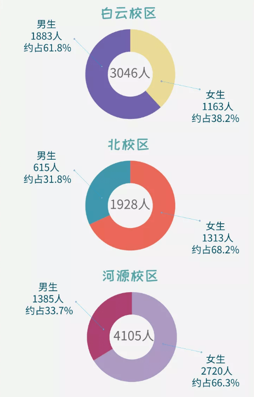 河师大男女比例图片