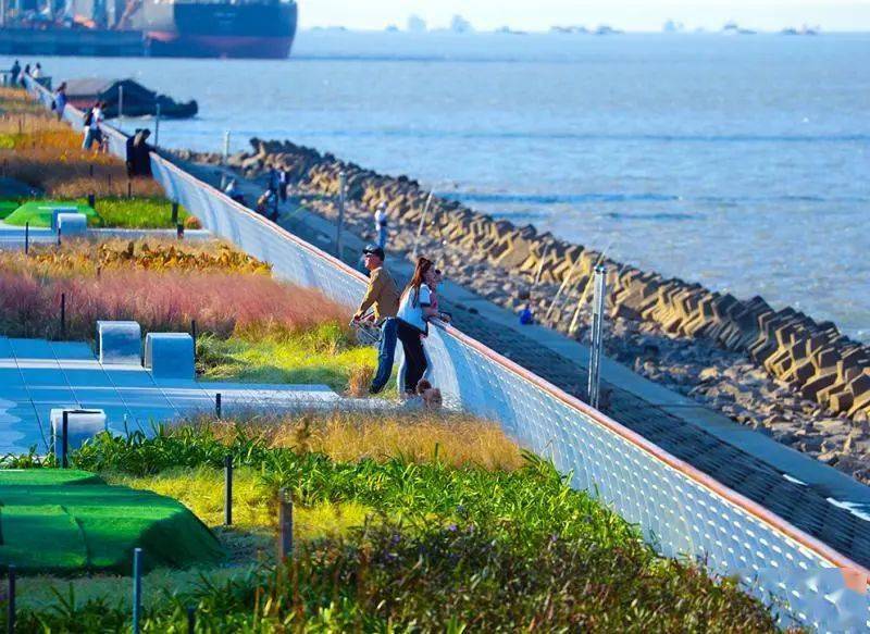 阳光沙滩绝美江景魔都又一滨江岸线开放68公里超2000亩景观绿地