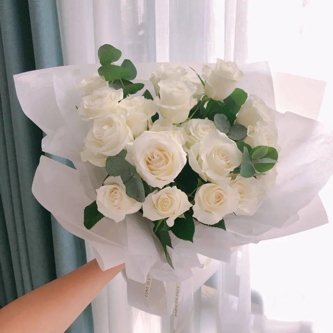 白玫瑰骄傲丨 得不到的 从来矜贵_手机搜狐网