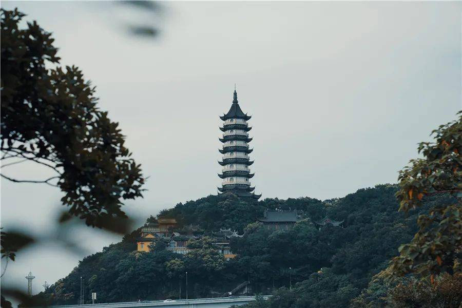 寧波百景圖 | 快來鎮海,賞花登山看海隨你選!_景區