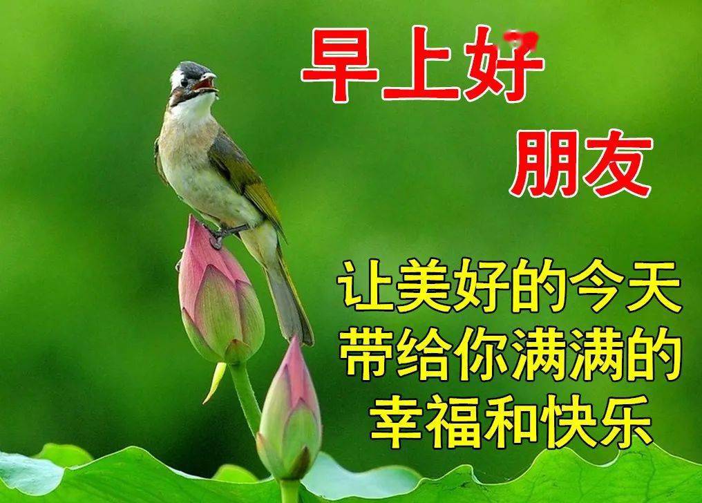 早上好问候美图早安问候语句