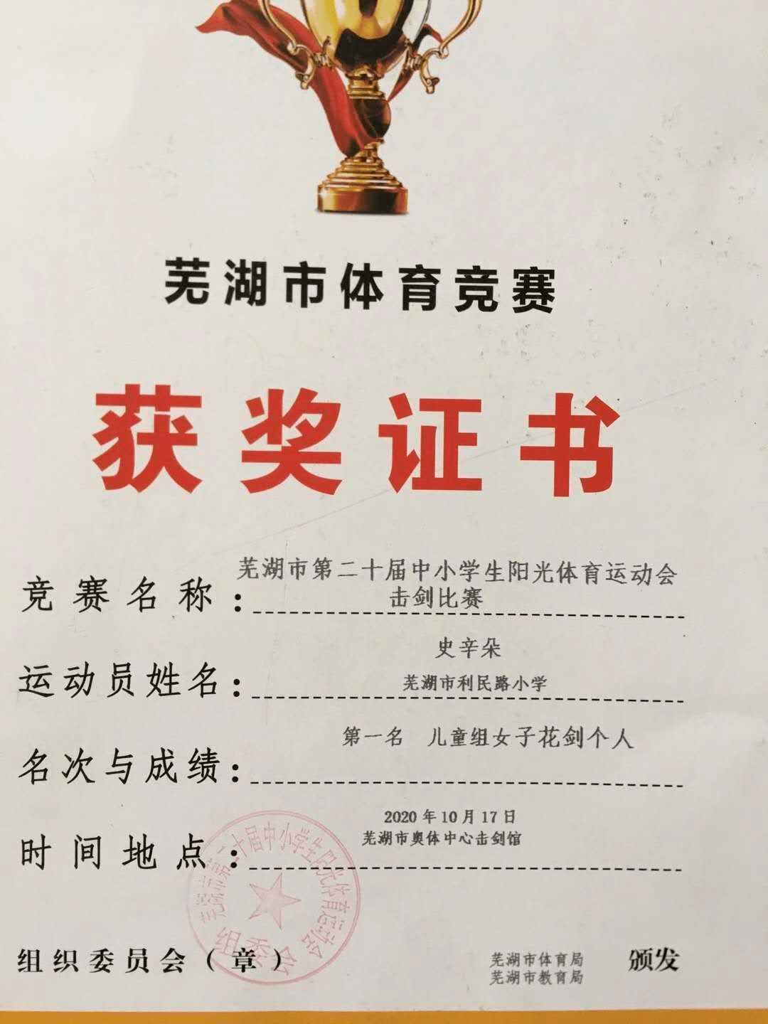 喜報——利民路小學在蕪湖市第二十屆中小學生陽光體育運動會擊劍比賽