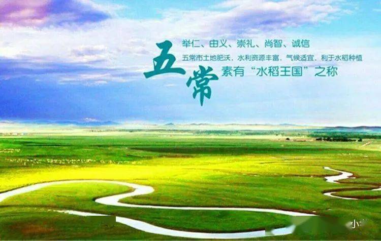 五常网站制作与推广 来自搜狐网