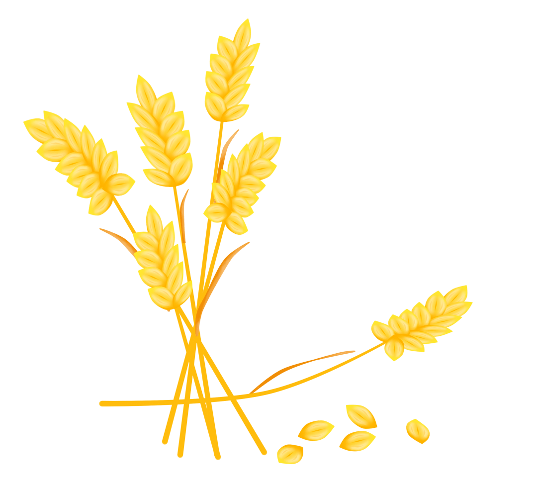 庆丰收迎小康金秋十月稻谷飘香北小营镇第四届水稻收割节火热开镰