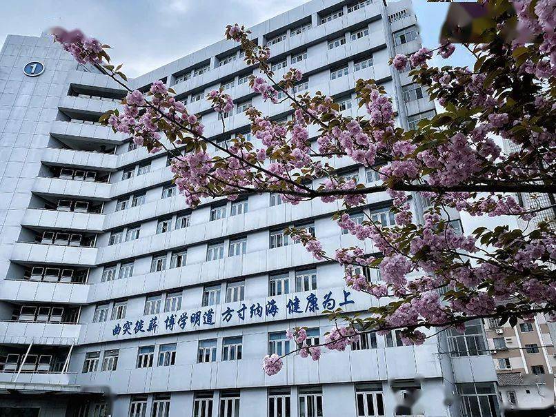 我是党员曲突徙薪博学明道方寸纳海健康为上上海市疾病预防控制中心