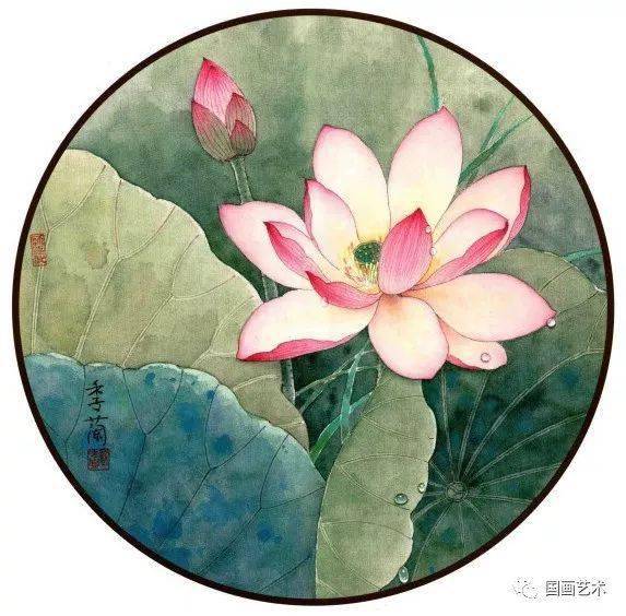 工笔荷花团扇,清凉出尘!_画法