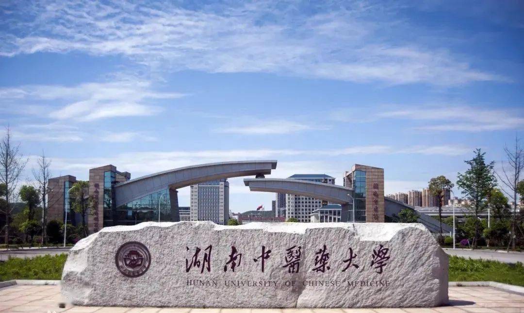 速看岳阳这座大学科技城最新消息来了