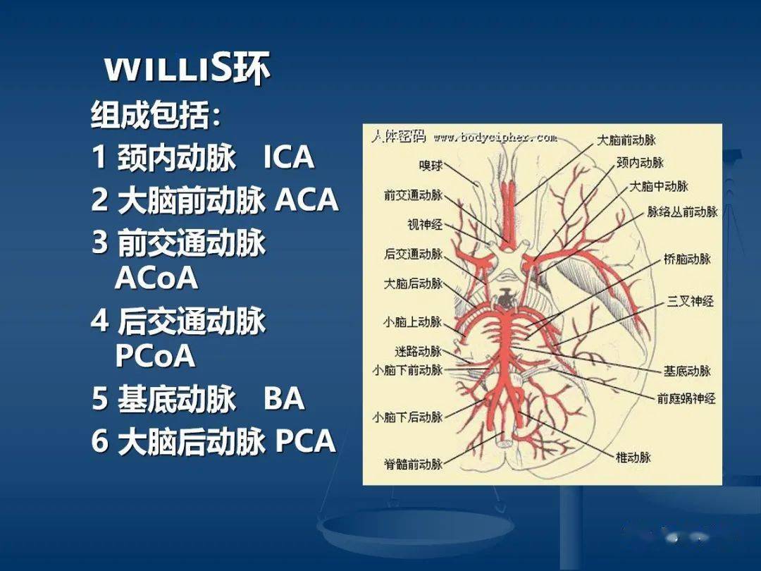 头颈部cta和dsa对血管病变的诊断