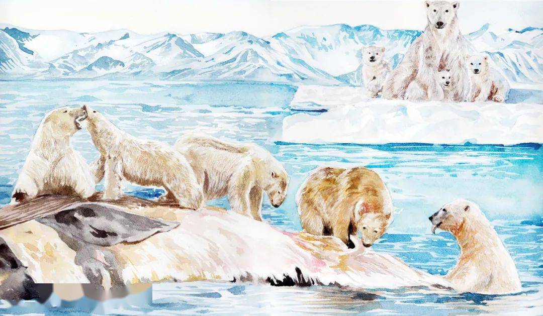 324 |《北极熊妈妈》_带着