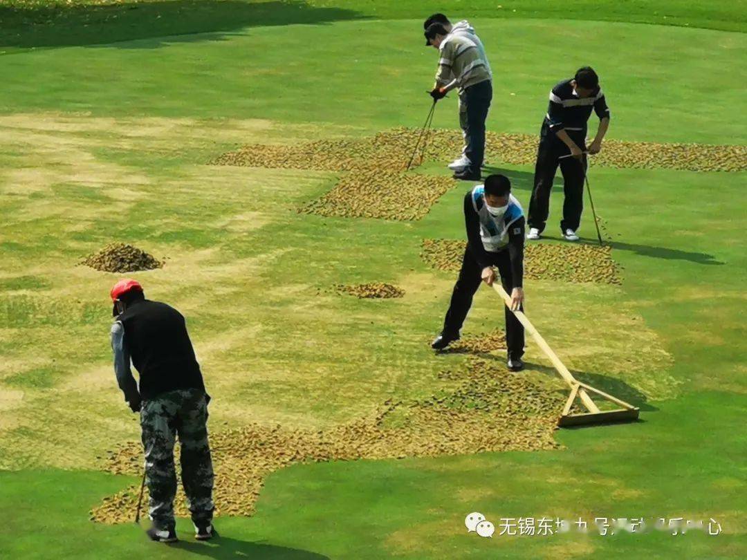 温馨提醒 | 果岭打孔养护作业通知_草坪