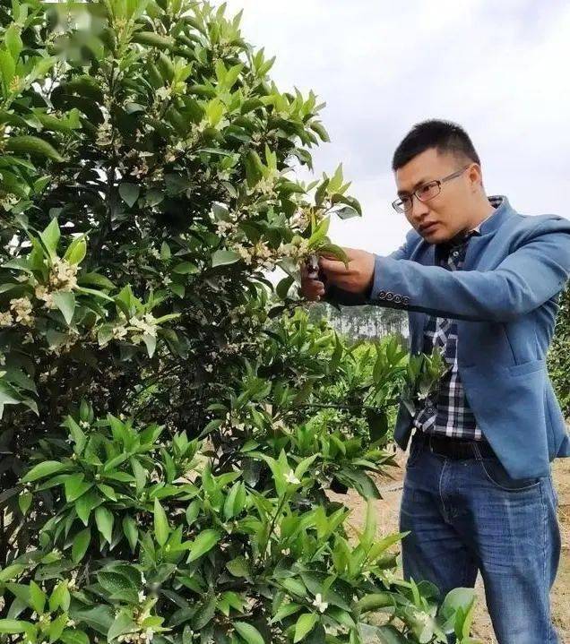 又是刘沈厅!眉山首位硕士职业农民,今天,川报整版报道