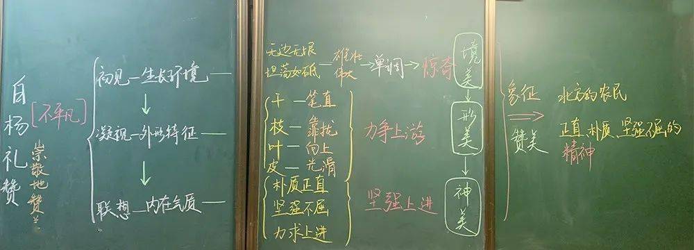 虹口校園課堂板書大pk你喜歡哪一款