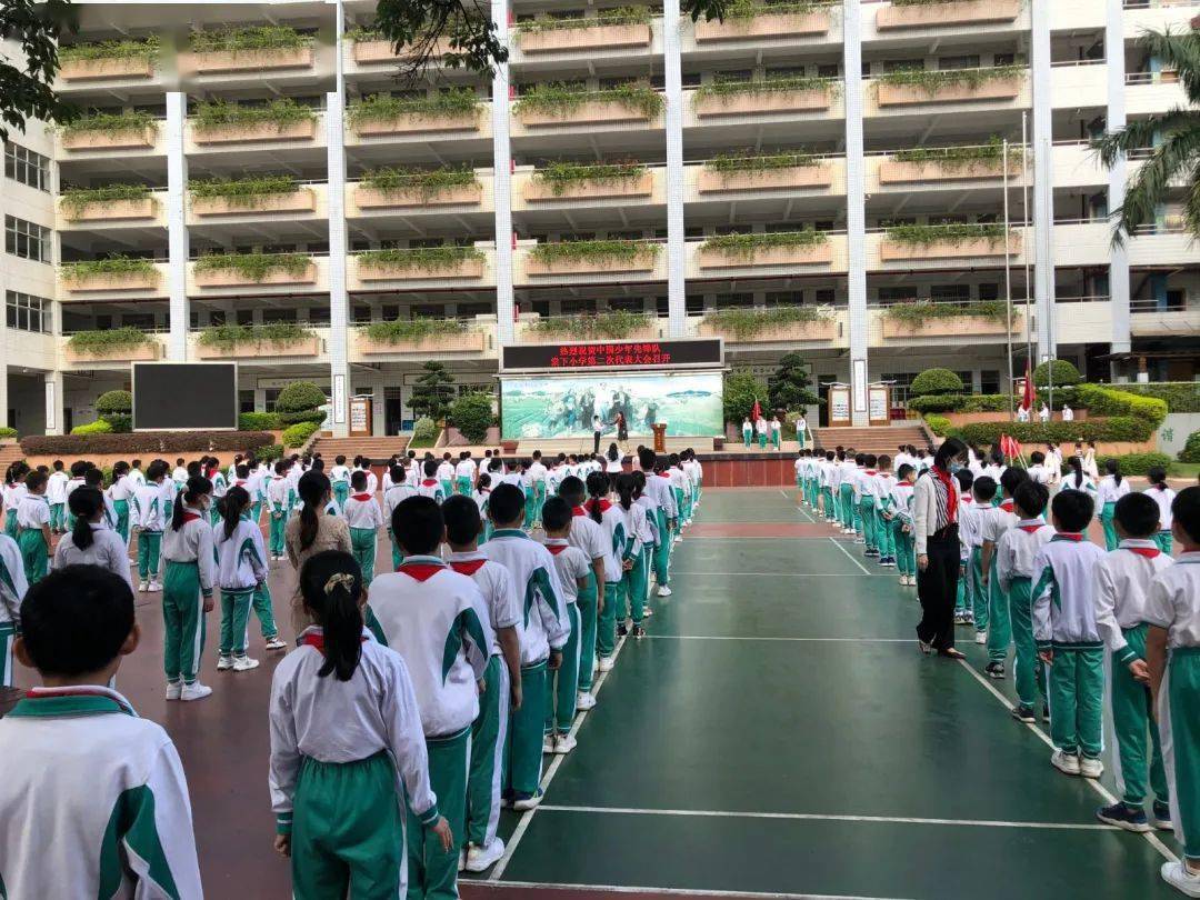 棠下小学少先队员代表会顺利召开博爱博学有情怀立德立志好少年