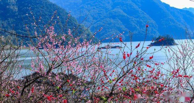 ▼遊玩地圖指南地址:清遠市清新區浸潭鎮桃花湖塘坑村可地圖導航輸入