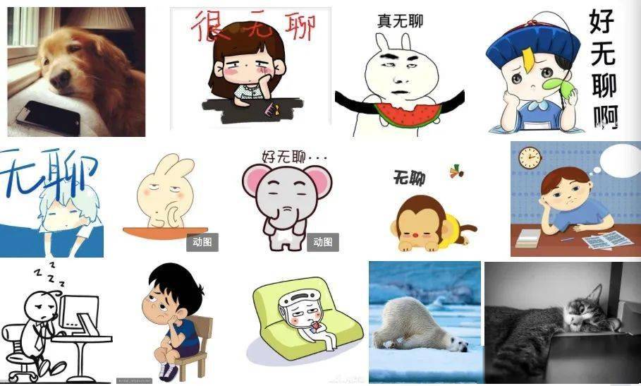 我主要是闲得慌.开车来打发一下时间,找人聊聊天啊.