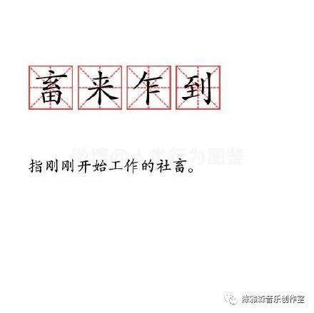 社畜專用詞典你好打工人