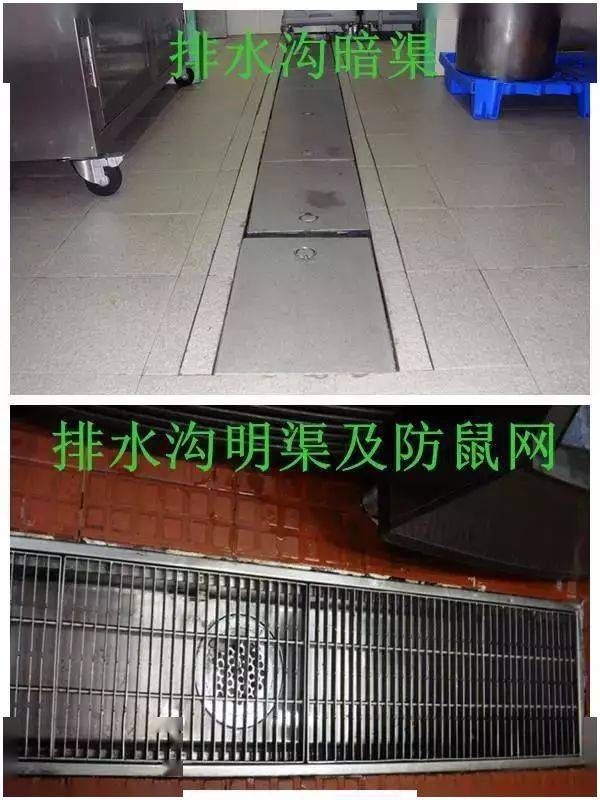 餐饮场所如何防鼠