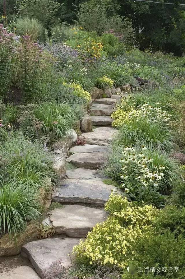 观赏草于园路景观的运用