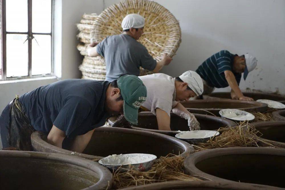 非遗零距离东台陈皮酒酿造技艺千年佳酿匠心传承