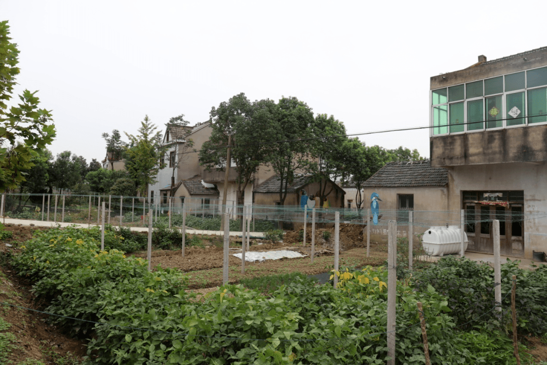 聚焦人居环境整治扮靓美丽宜居家园大墅湾林大力发展房前屋后经济