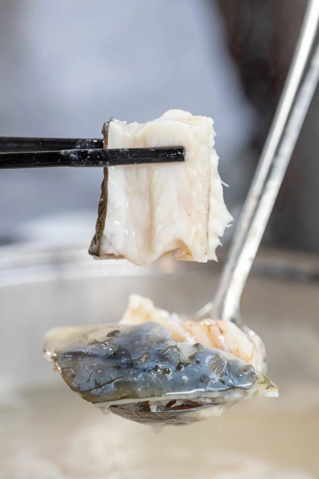 顺德无骨鱼 水鱼 鱼肠煎蛋 …佛山两店通用!_鲮鱼