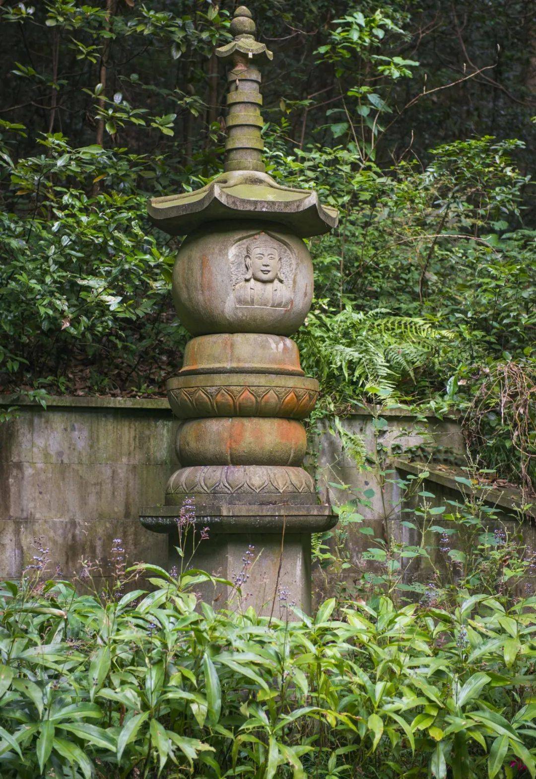 莲池大师俗姓沈,名祩宏,字佛慧,杭州人,他对云栖寺的重建功不可没.