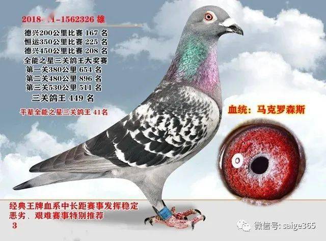胡维奇因病去世看看他一手缔造的苍白传奇
