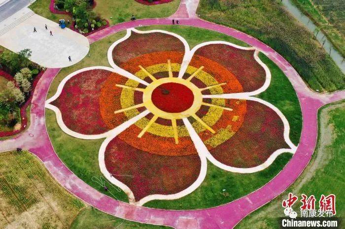 准备就绪南康家居小镇被花海包围静候家博会开幕