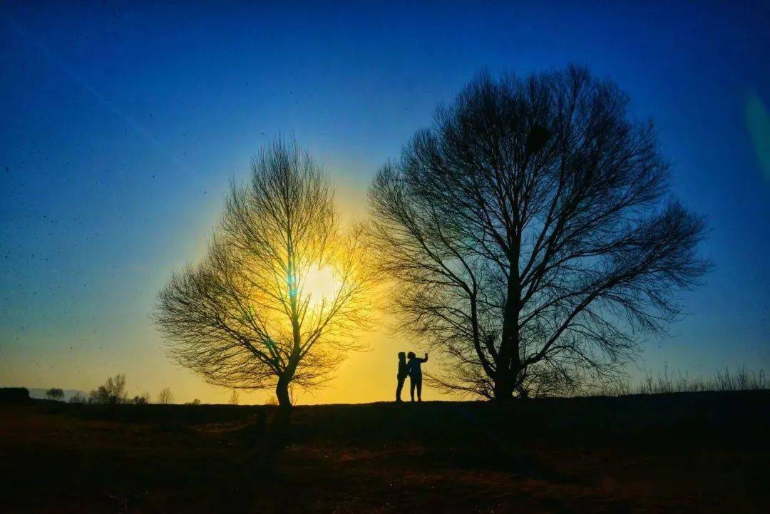 摄影 | 雷英:留一抹晚秋美景,惊艳时光