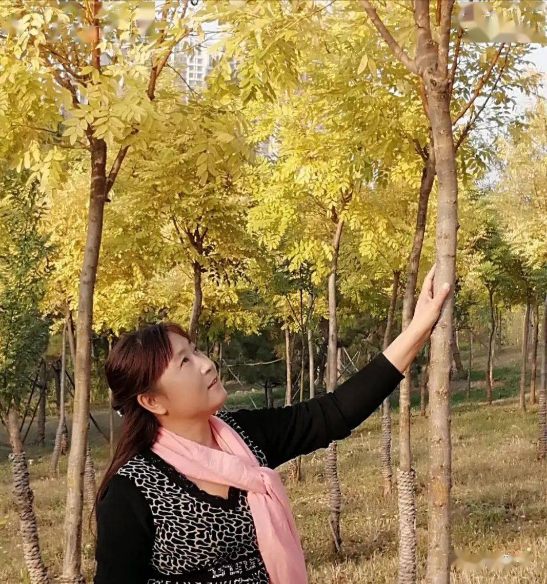 笔名,夕颜,本名,王爱菊,山东济宁邹城人,自由撰稿人,济宁市作家协会