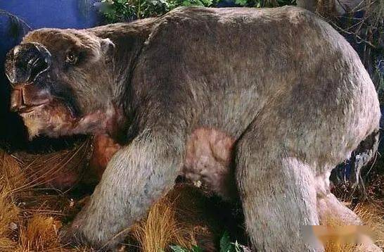 世界十大未确认生物体面目狰狞真实存在