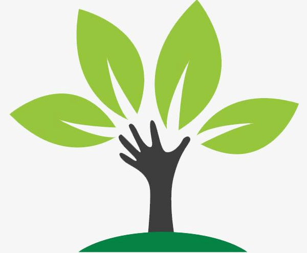 践行绿色发展制止餐饮浪费宝山区绿色餐厅创建工作推进会召开