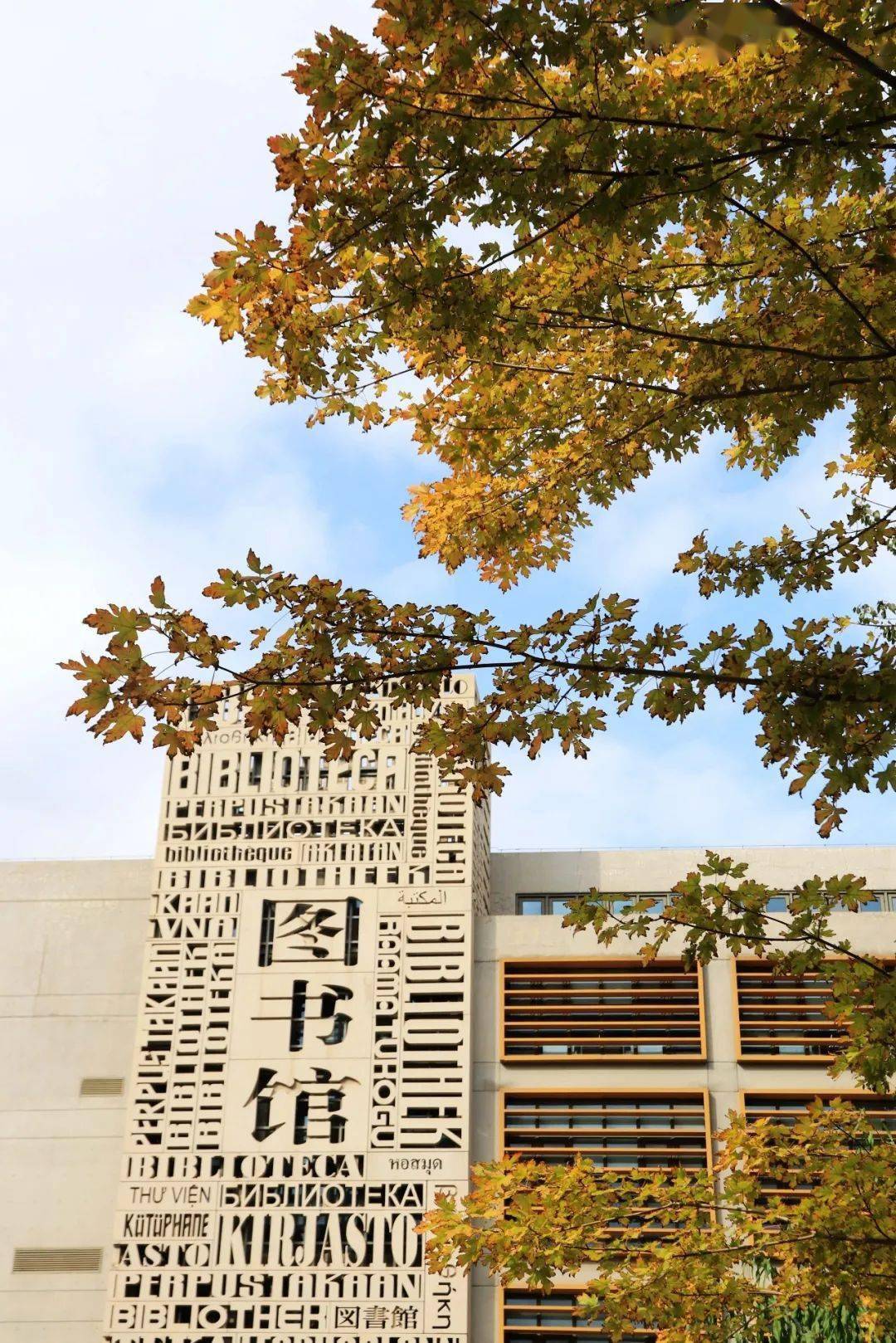 寻觅北外秋日诗意