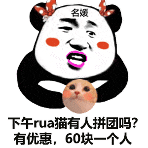 表情包名媛表情包70张