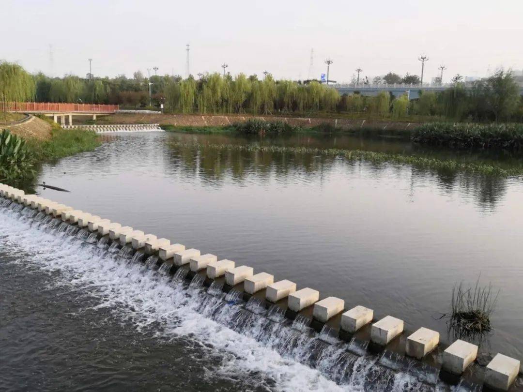 洛阳这里新增一处滨河公园,水清林茂生态好