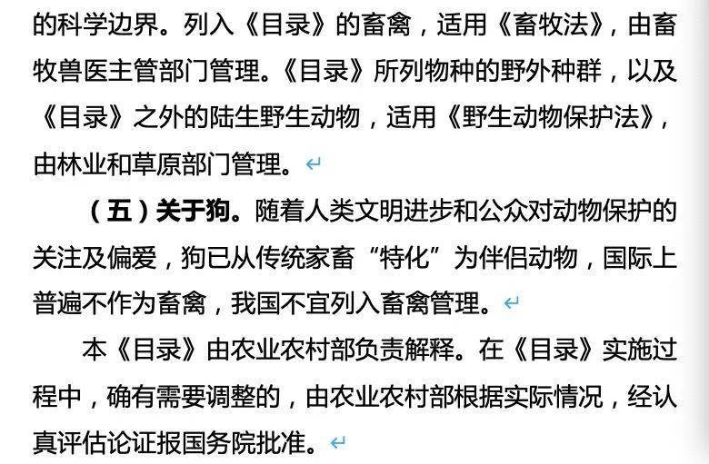 怀孕母猫被虐待致死为动物立法究竟卡在哪儿