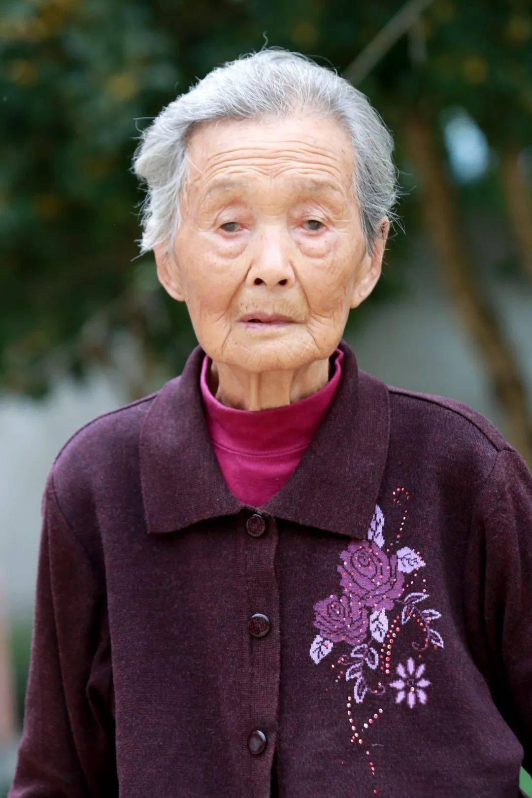 超200万次围观如皋这群百岁老人爆红网络他们说