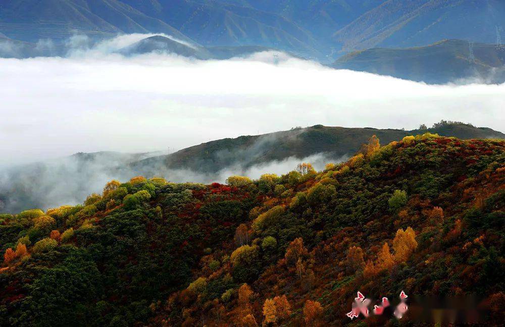 陇中屋脊榆中马衔山黄土高原上的绿色明珠